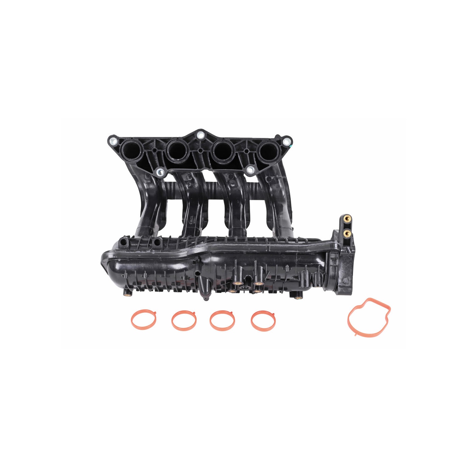 ACKOJA A26-0245