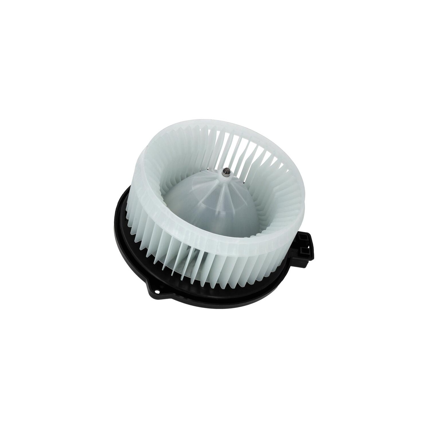ACKOJA A26-03-0003
