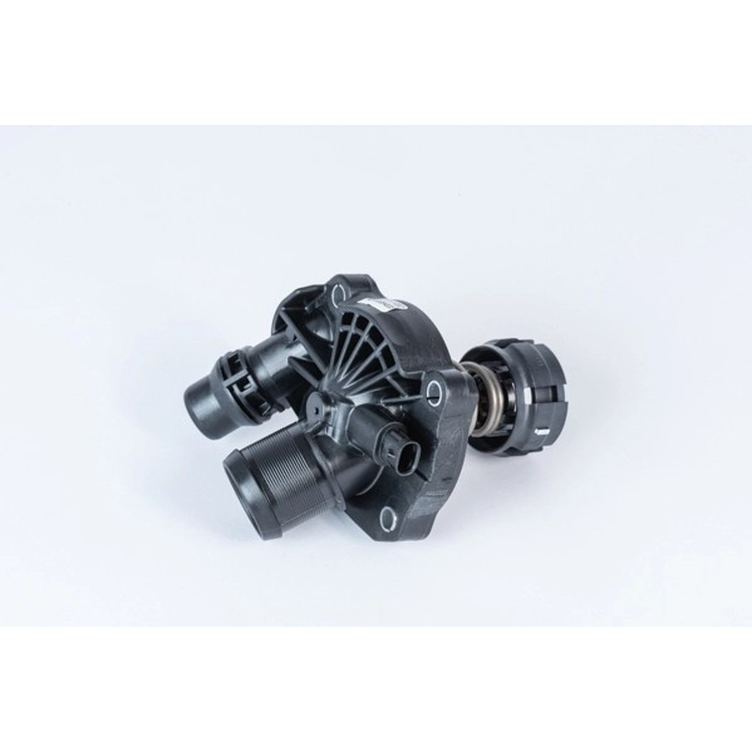 BORGWARNER 써모스탯