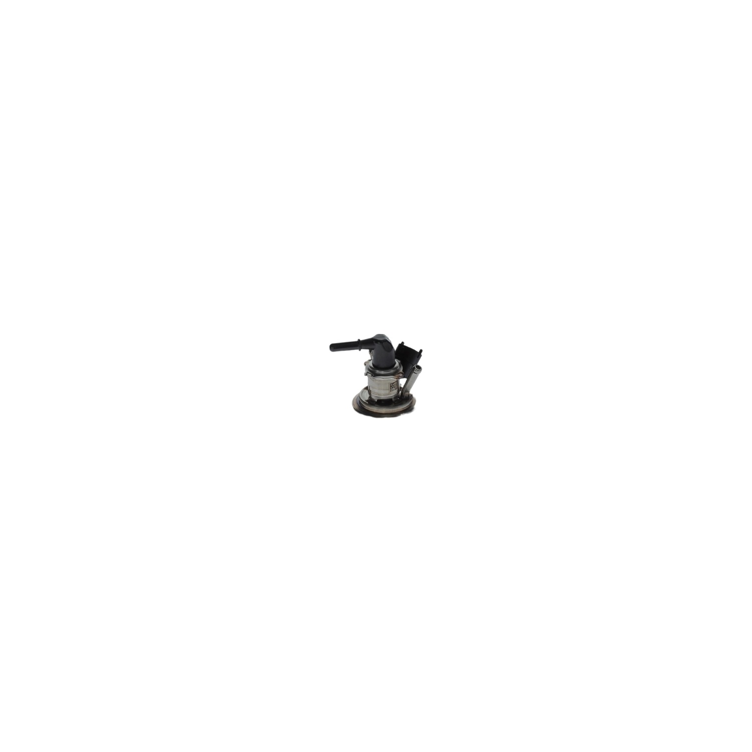 0444025029_1.jpg?v=1780617013
