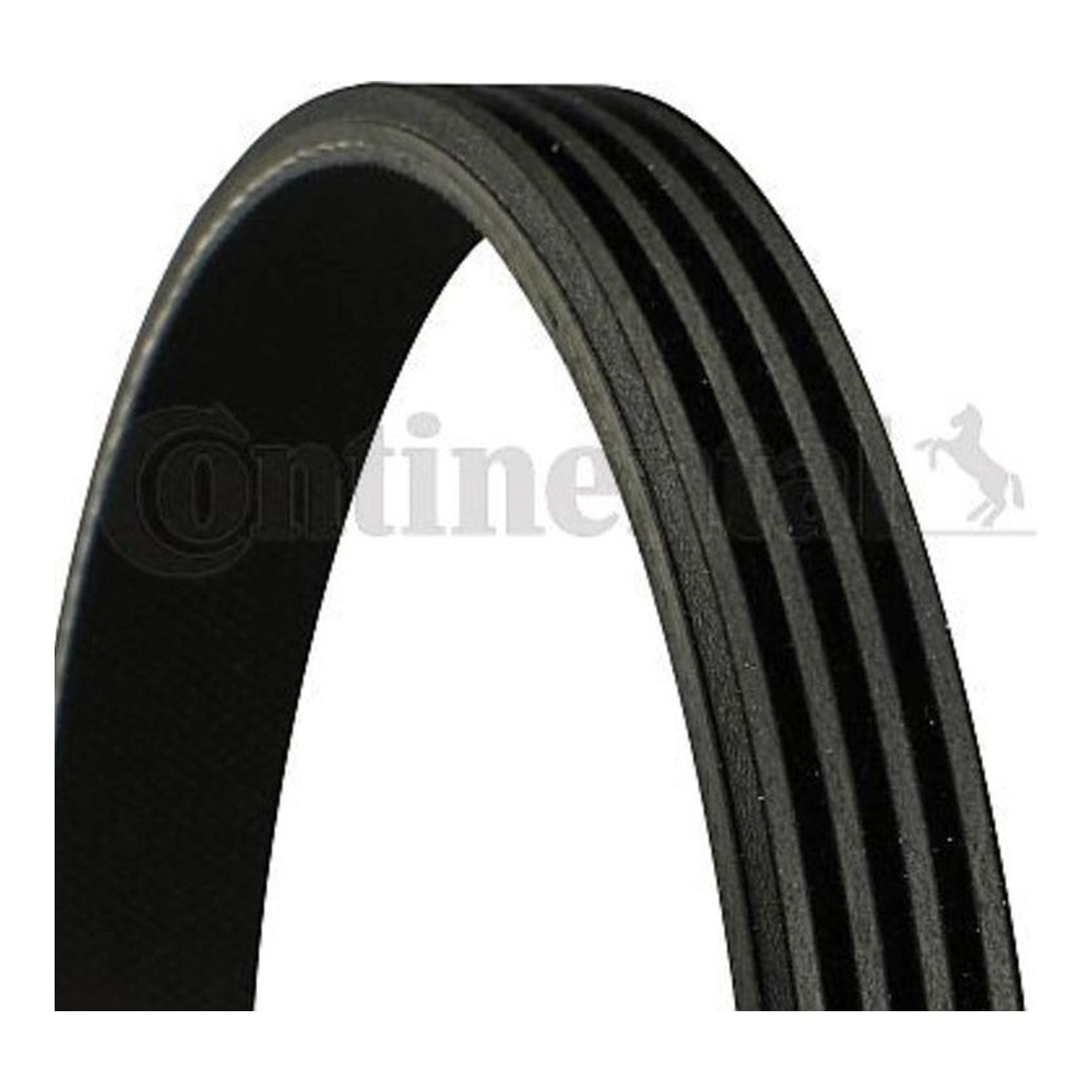 BMW 650i E64 팬벨트 CONTINENTAL 5750T4 96315206 8845887710 cc12