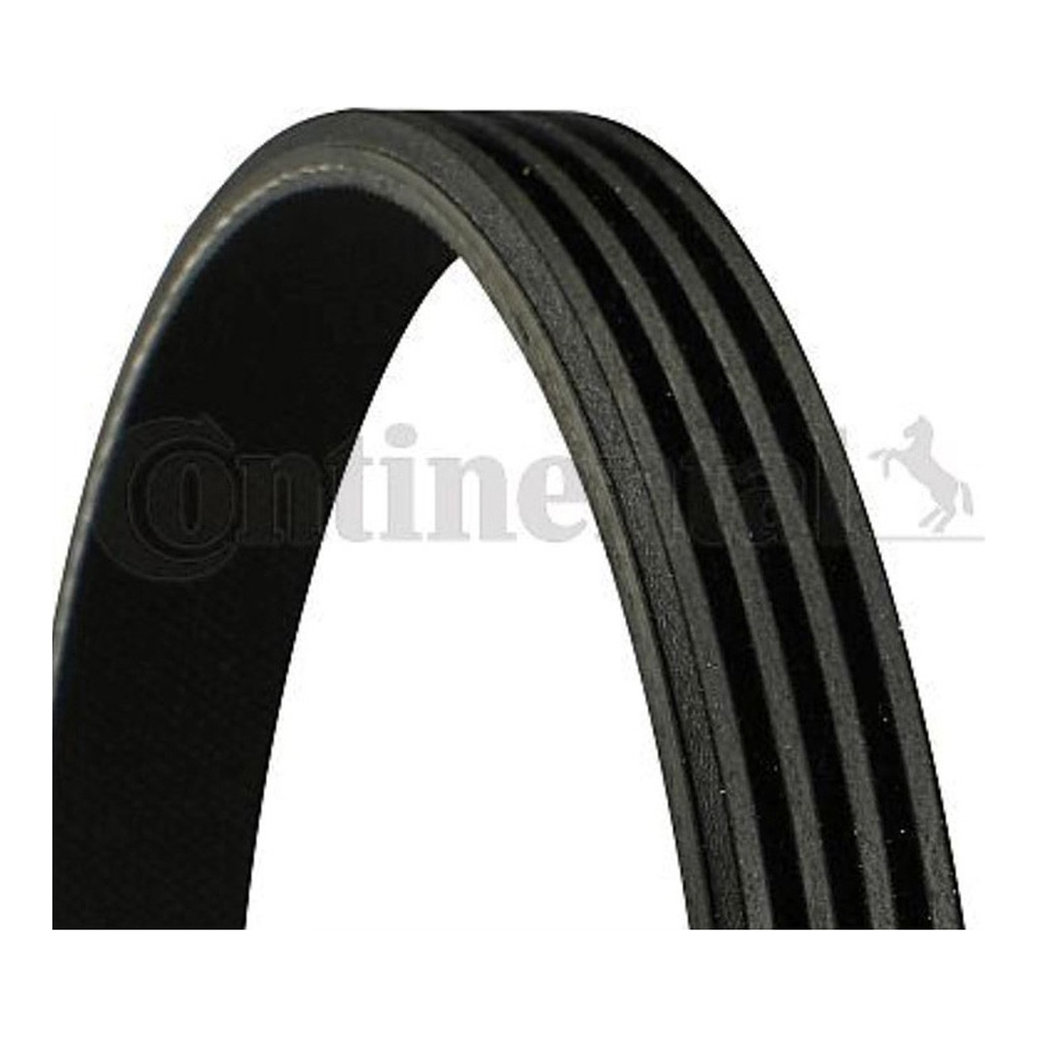 BMW 525i E39 팬벨트 CONTINENTAL 1172067S01 99919221450 90080-91047 04c2