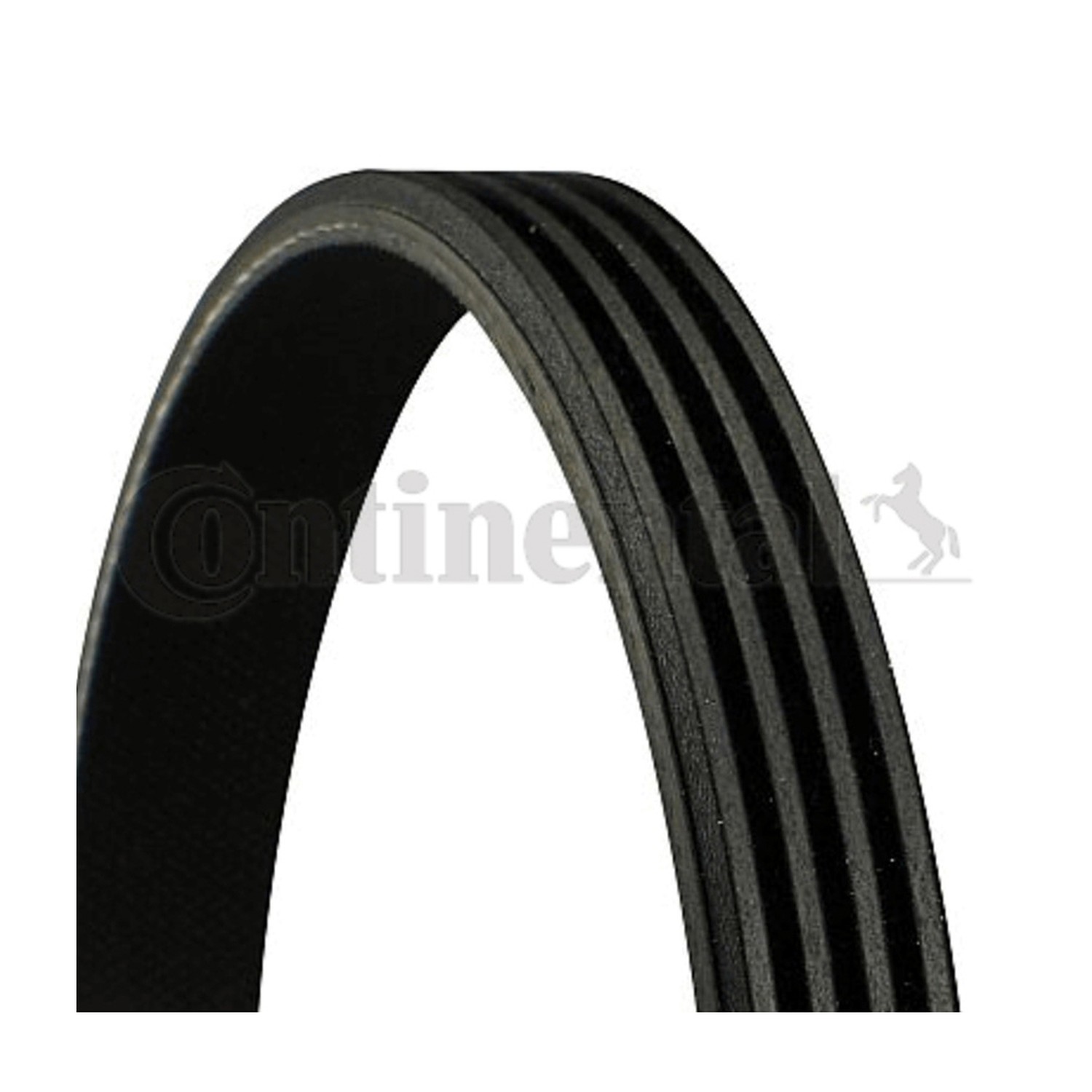 BMW 525i E39 팬벨트 CONTINENTAL 9091602580 B63015907C B63015907C9F a823
