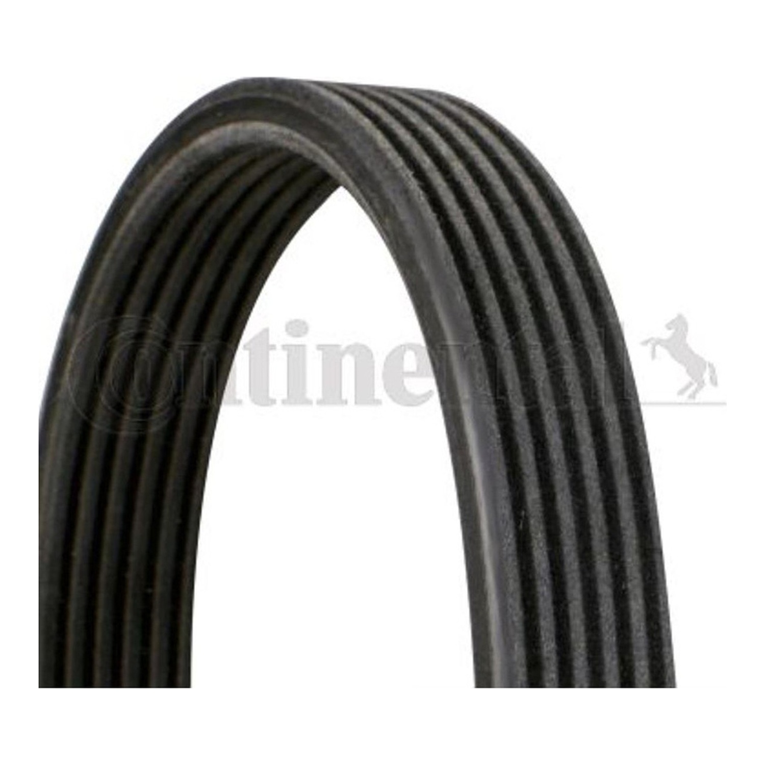 BMW 120d E82 팬벨트 CONTINENTAL 11288574957 FB6DPK1698 11287800341 0785