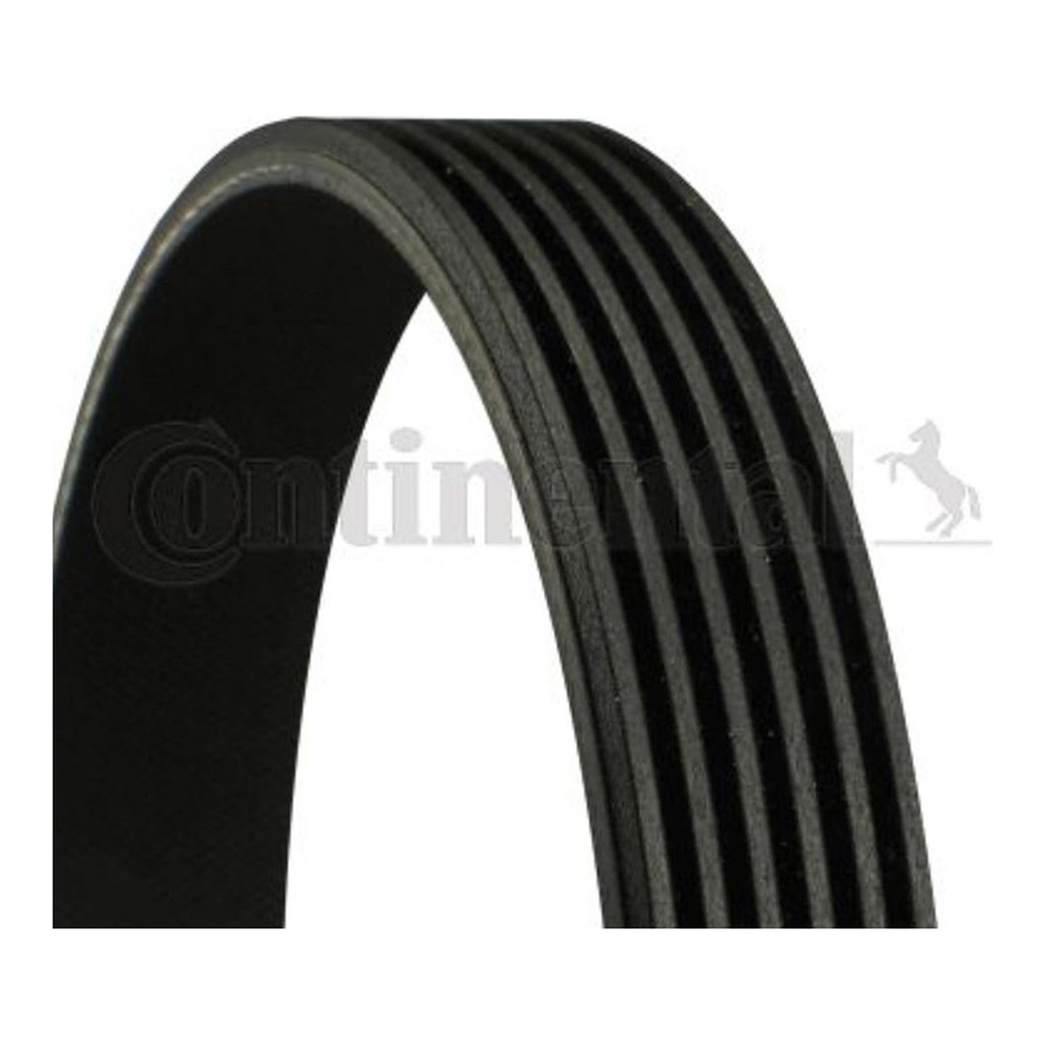 BMW 5시리즈 F10 팬벨트 CONTINENTAL 04E145933P 11287618848 99919228350 cbfb