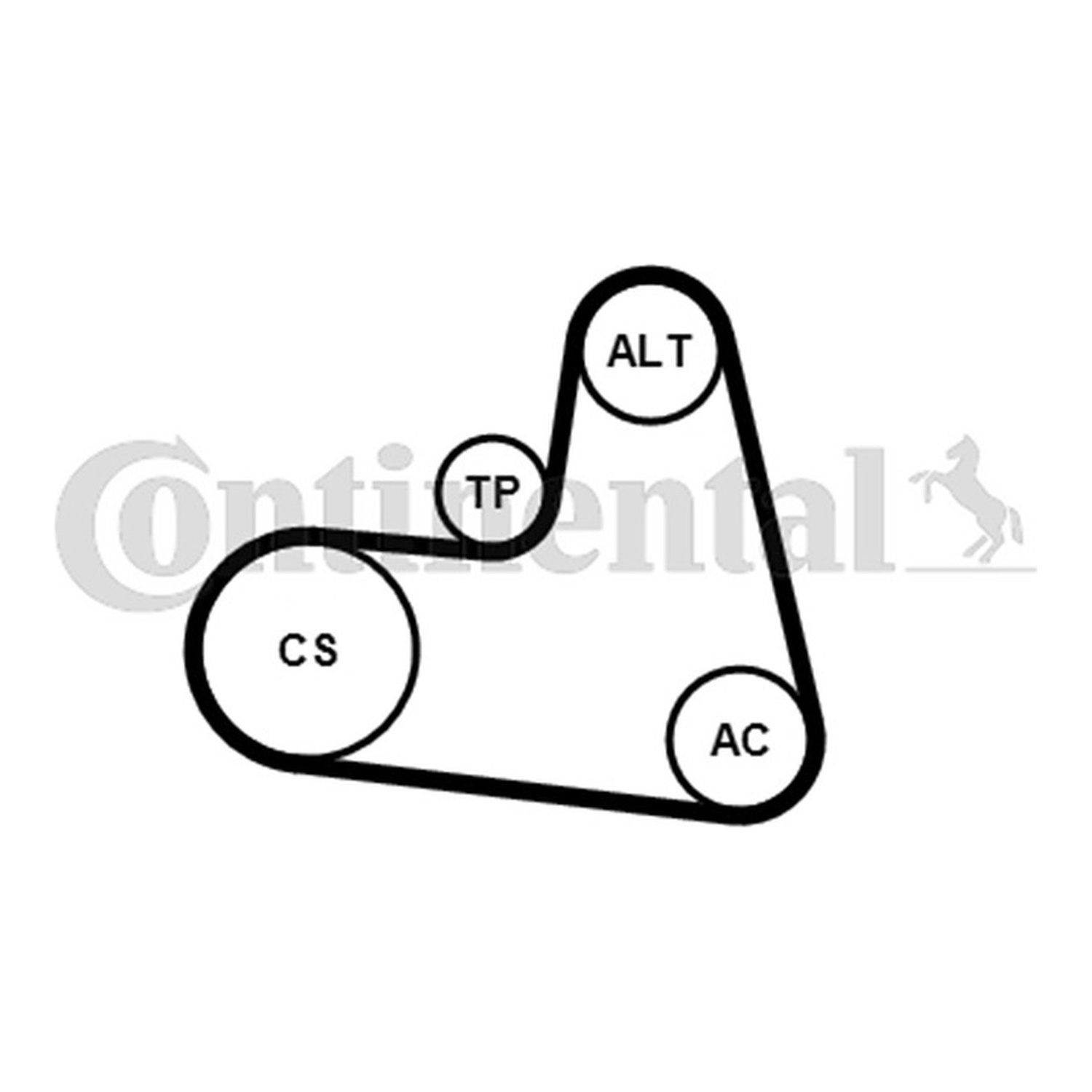 CONTINENTAL 팬벨트 세트