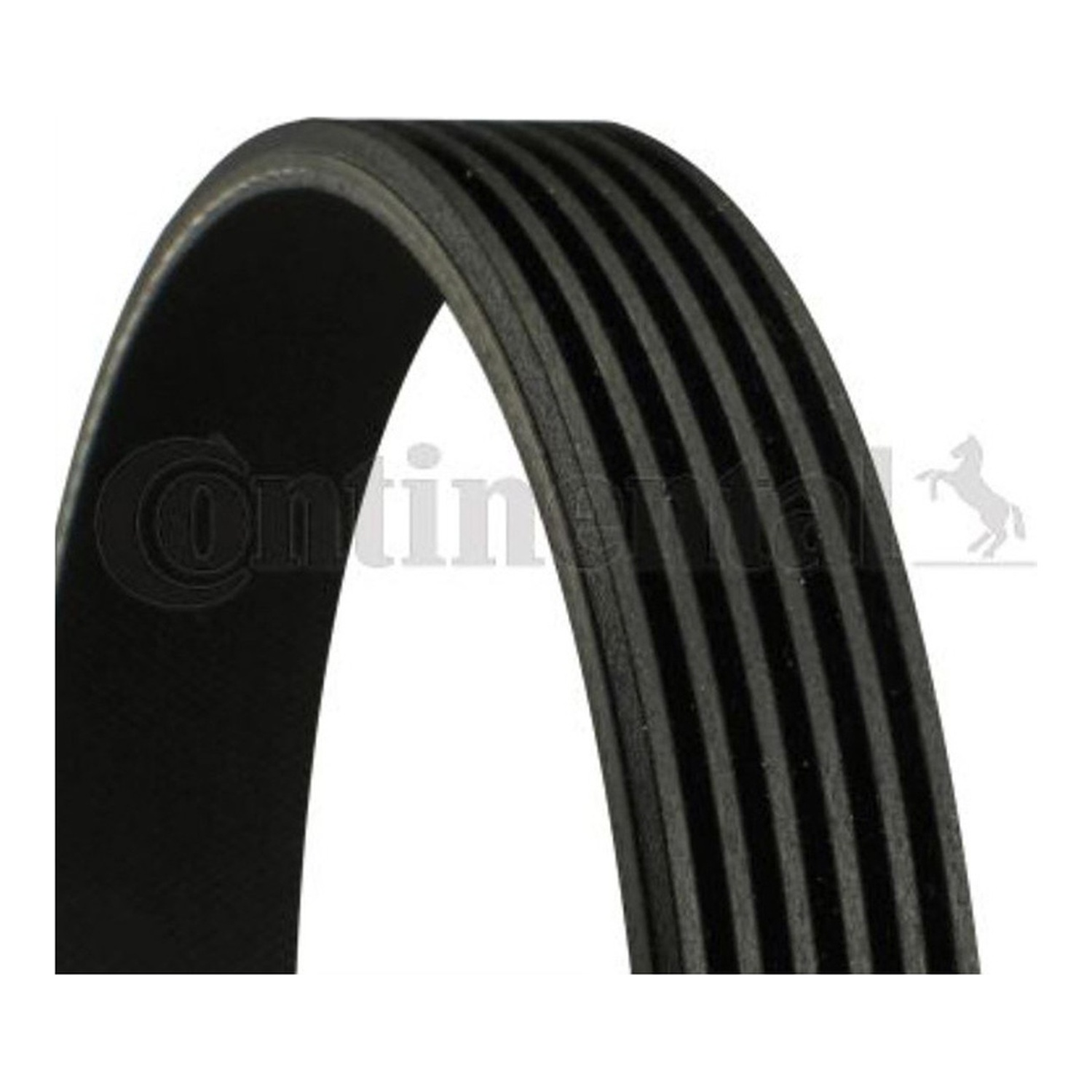 BMW Z4 E85 팬벨트 CONTINENTAL 55258359 03D145933AG 03D145933AJ 245d