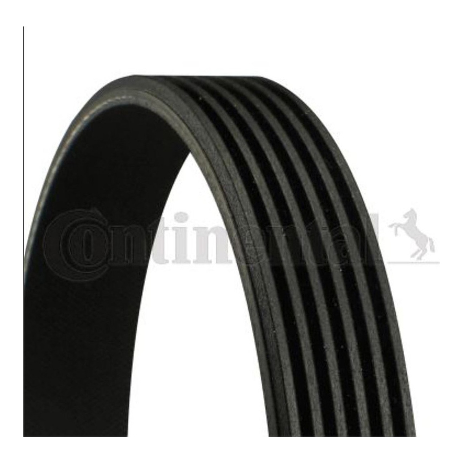 BMW 523i E39 팬벨트 CONTINENTAL F1FG6C301DA FB6PK1540 2521207001 0f63
