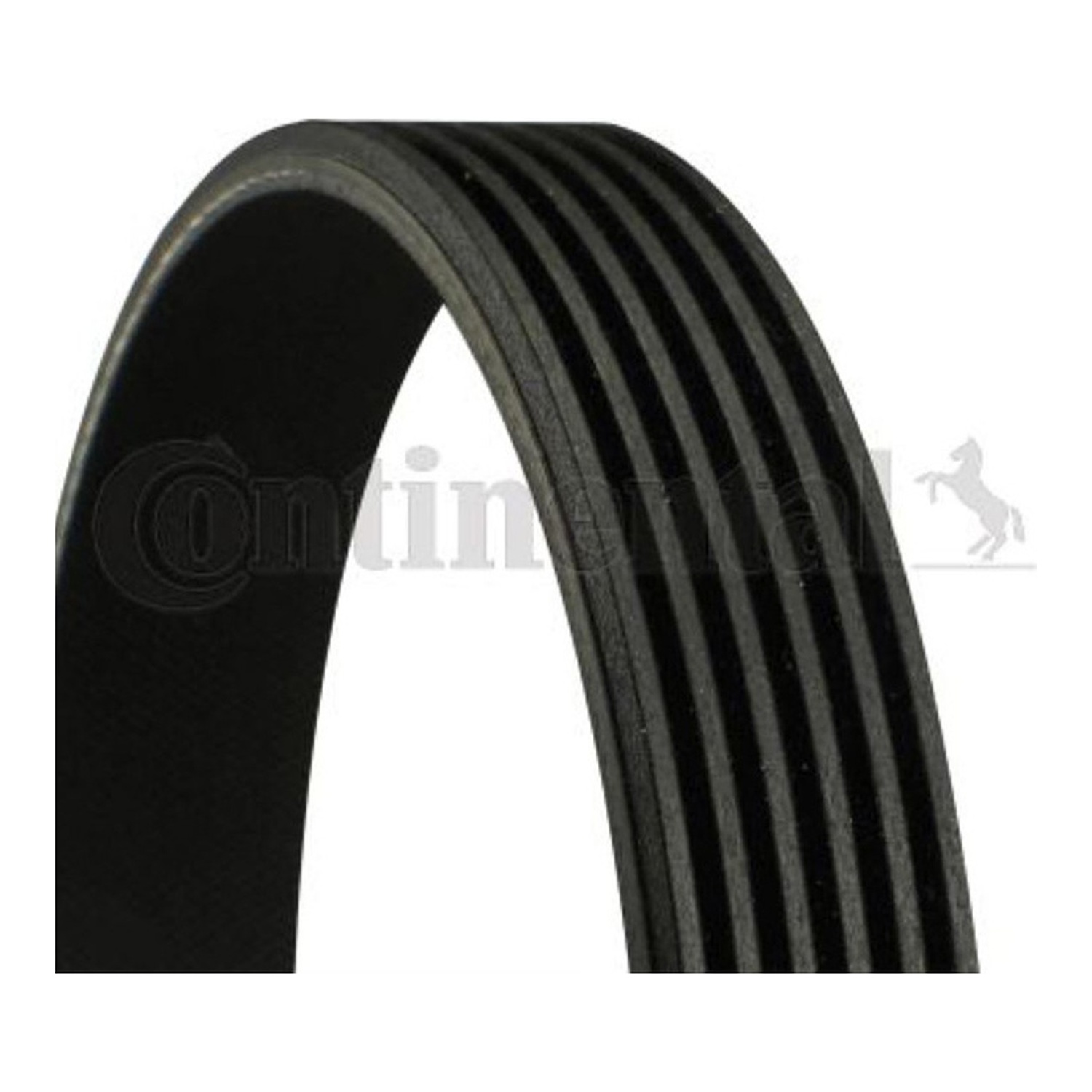 BMW 520i E39 팬벨트 CONTINENTAL 11281437368 11281703561 11281726689 021d