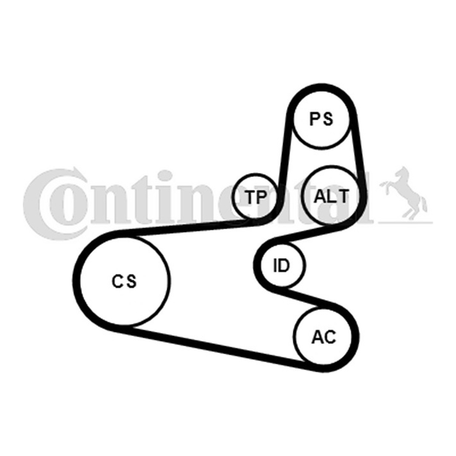 CONTINENTAL 팬벨트 세트