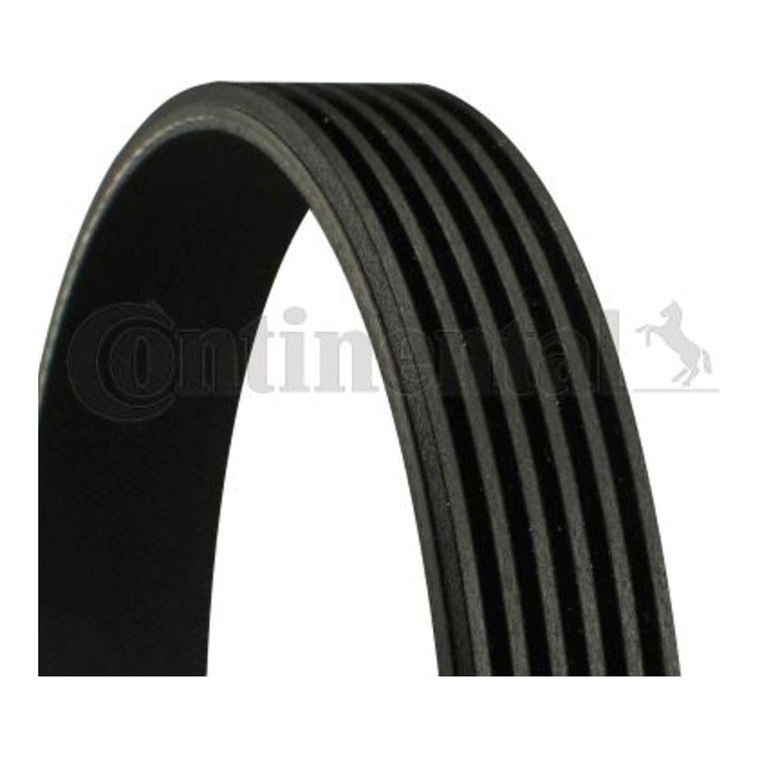 BMW 520i E39 팬벨트 CONTINENTAL 5750GY 5750GZ 5750WG 4697