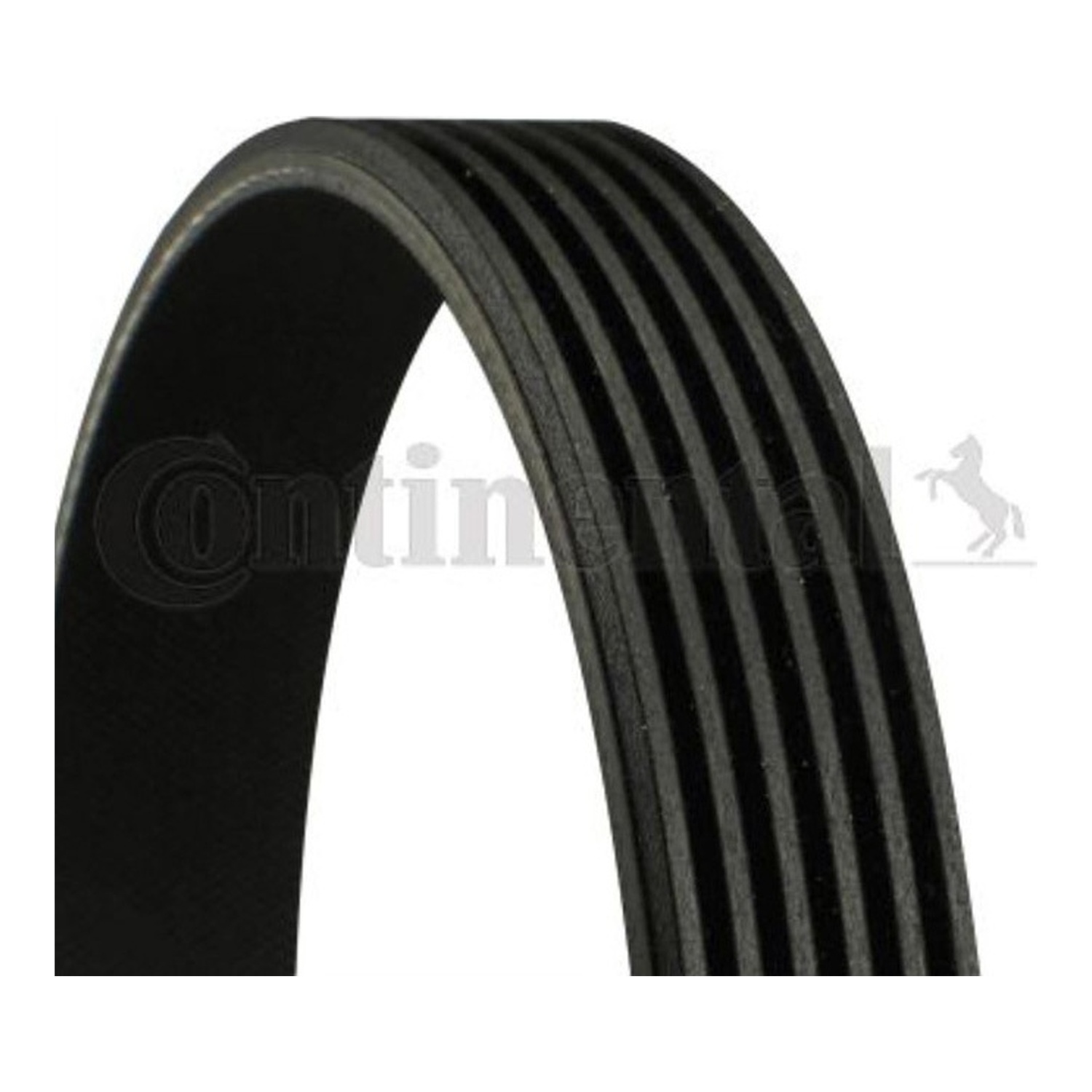 BMW 318i E46 팬벨트 CONTINENTAL 7700859654 809221050 0039932196 8a2f