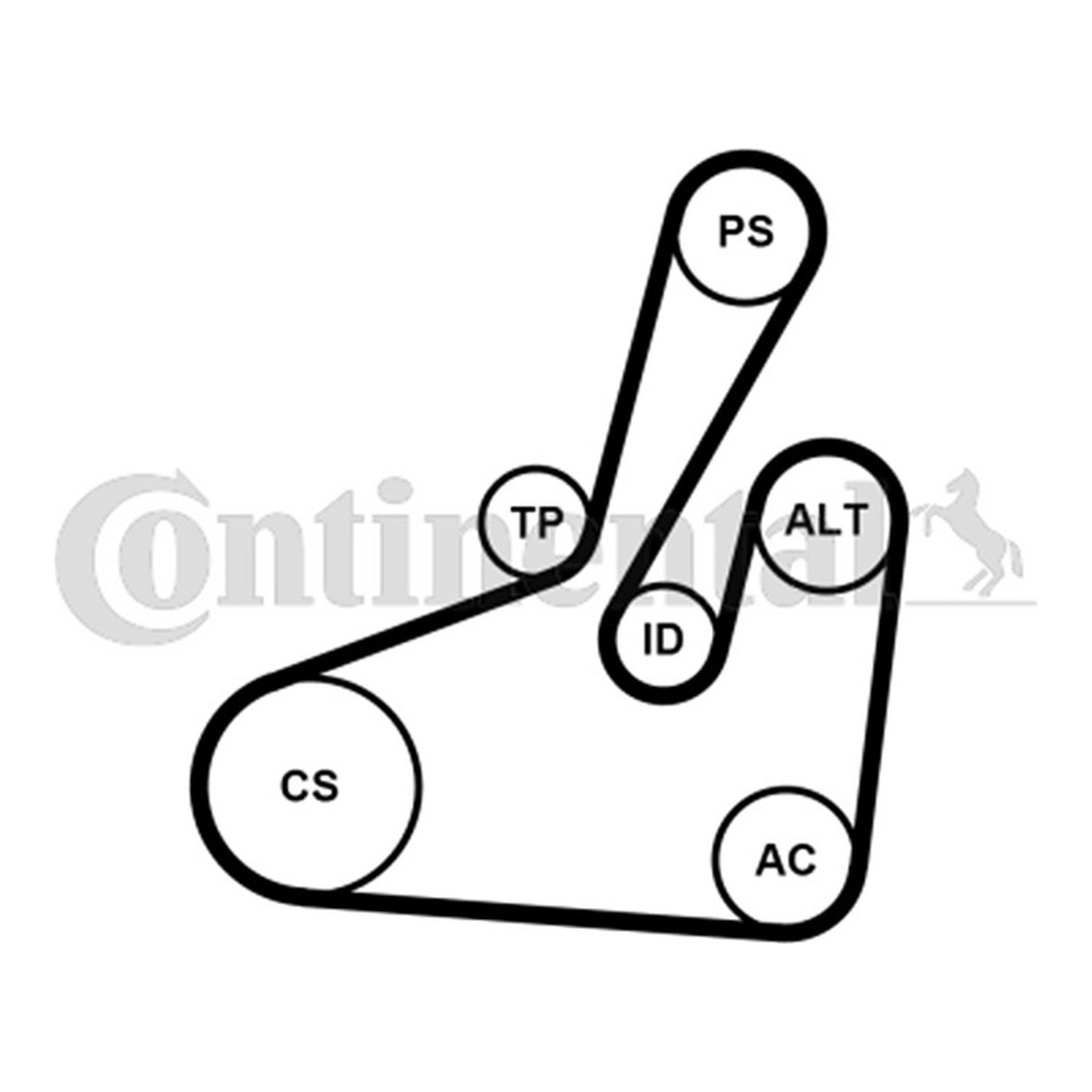 CONTINENTAL 팬벨트 세트