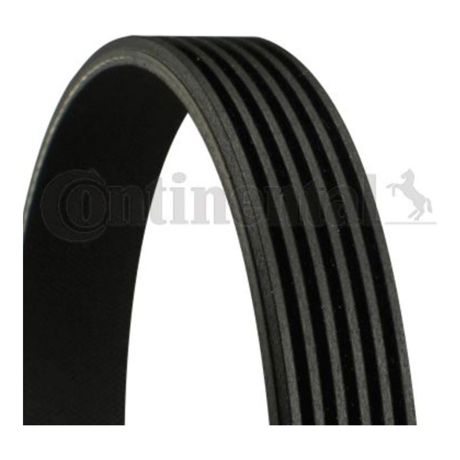 BMW 7시리즈 E66 팬벨트 CONTINENTAL 05037543AA 074903137AP 11287786075 b373