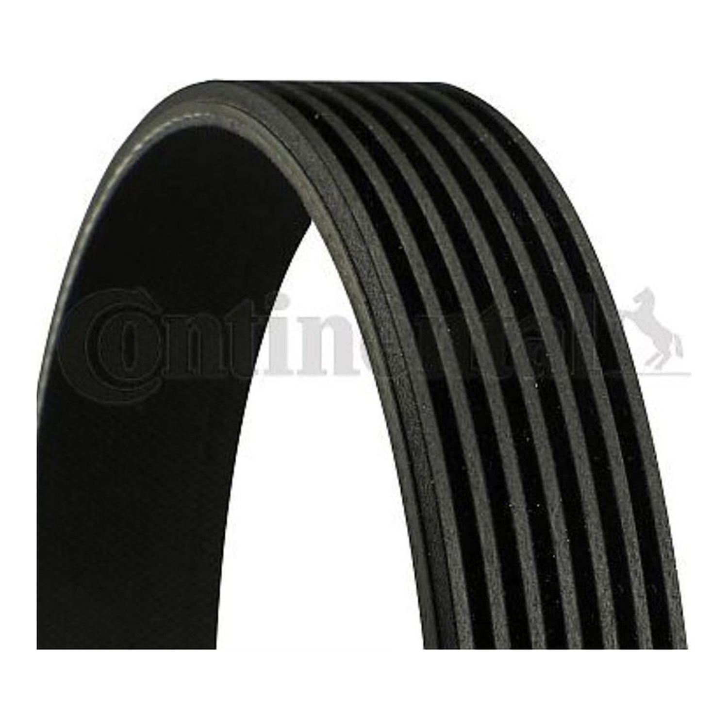 BMW X6 E71 F86 팬벨트 CONTINENTAL 31110RL0G51 31110RL0G52 31110RRBA01 43bc