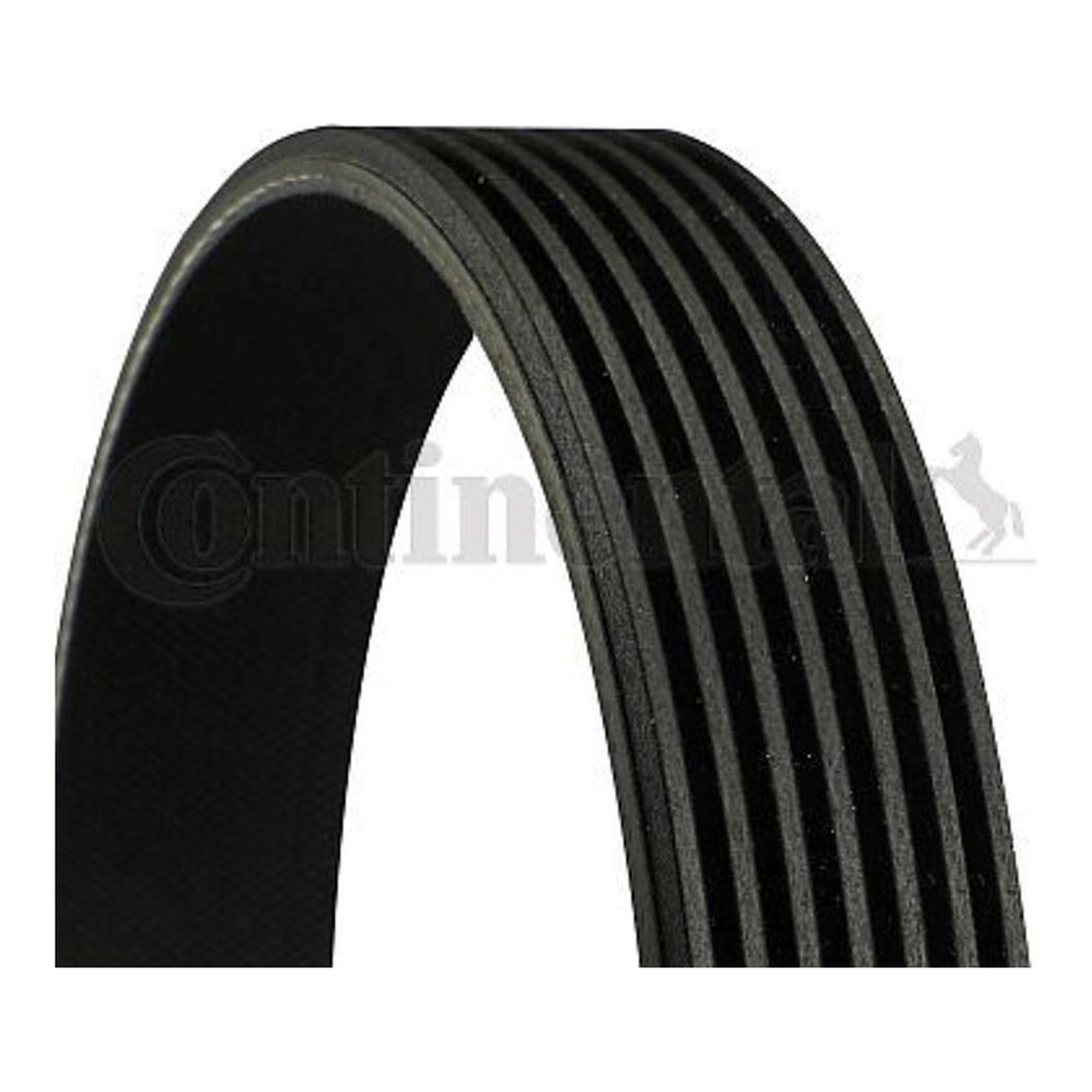 BMW X6 M E71 팬벨트 CONTINENTAL 38920RSRE02 11720-VS40B 11720VS40A 5914