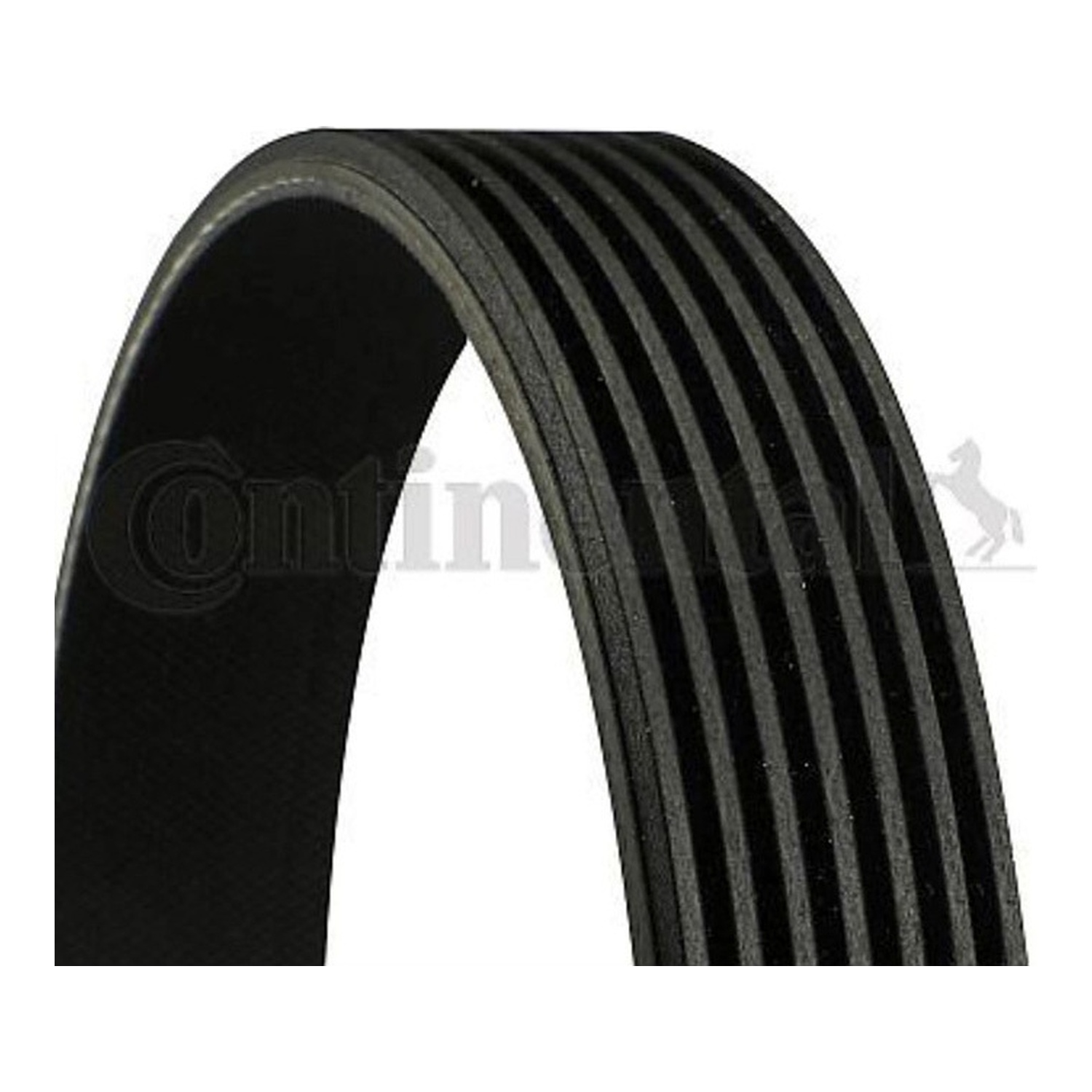 BMW X5 48i E70 팬벨트 CONTINENTAL 95519122 1172000Q6E 117205152R a751