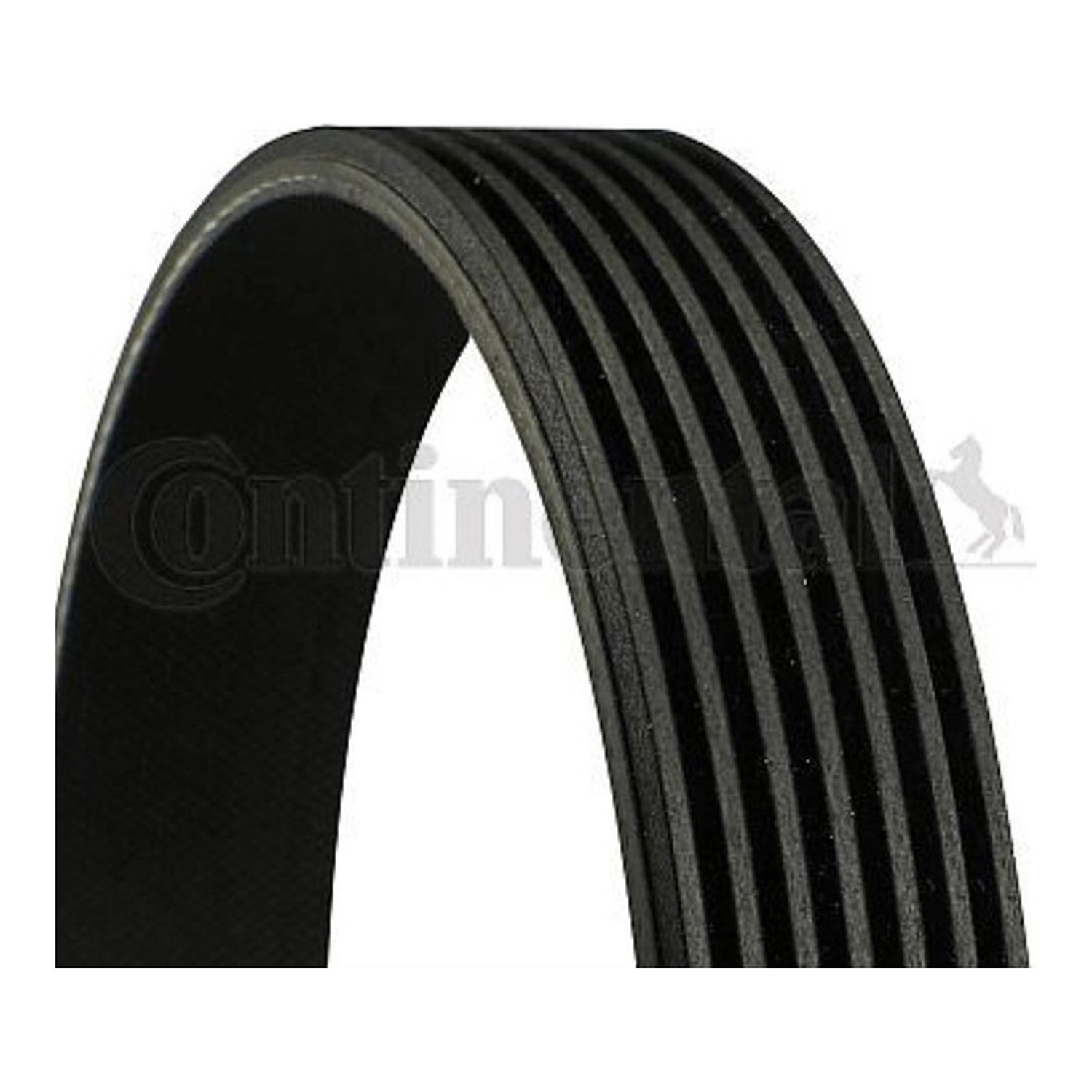 BMW 335i E93 팬벨트 CONTINENTAL 04301-RNA-306 31110RNA004 31110-RWK-003 74de
