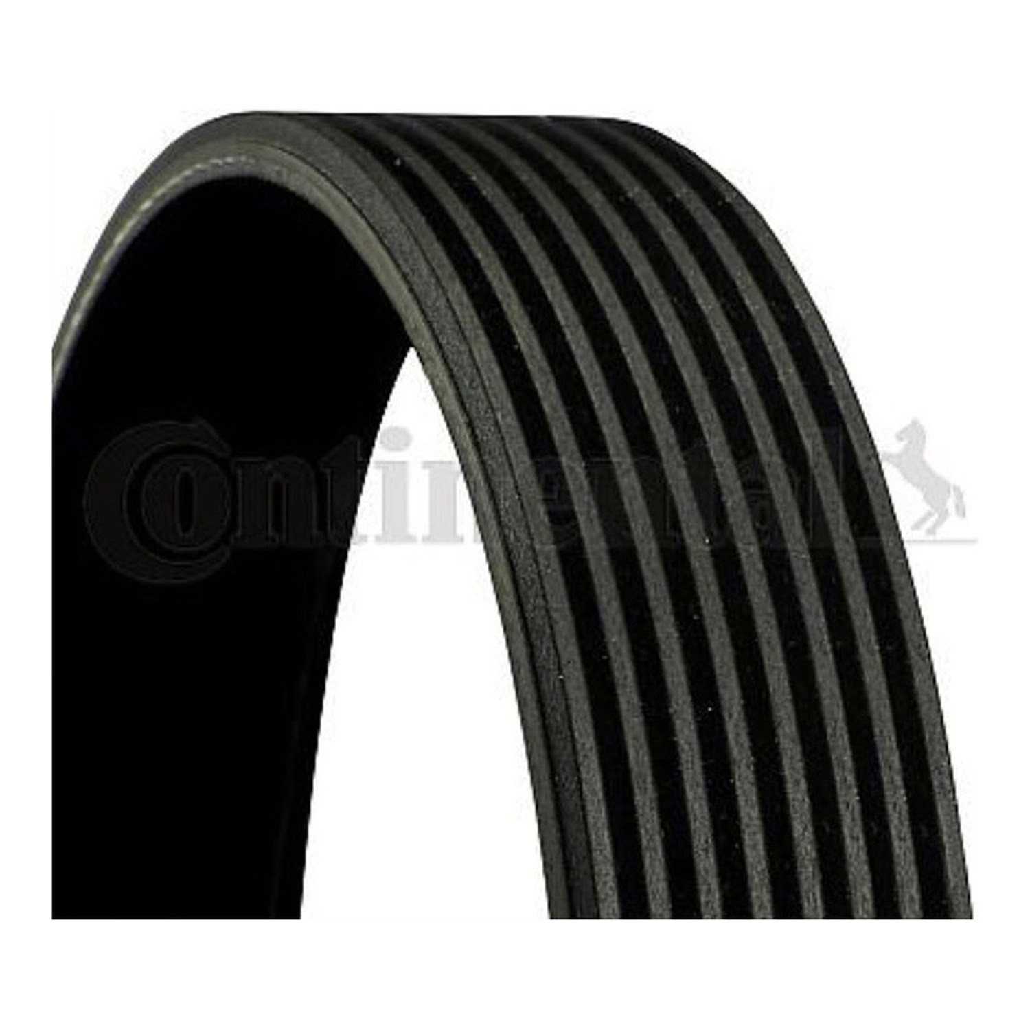 BMW X6 E71 팬벨트 CONTINENTAL 11287589365 11287628659 51968200284 c2b8