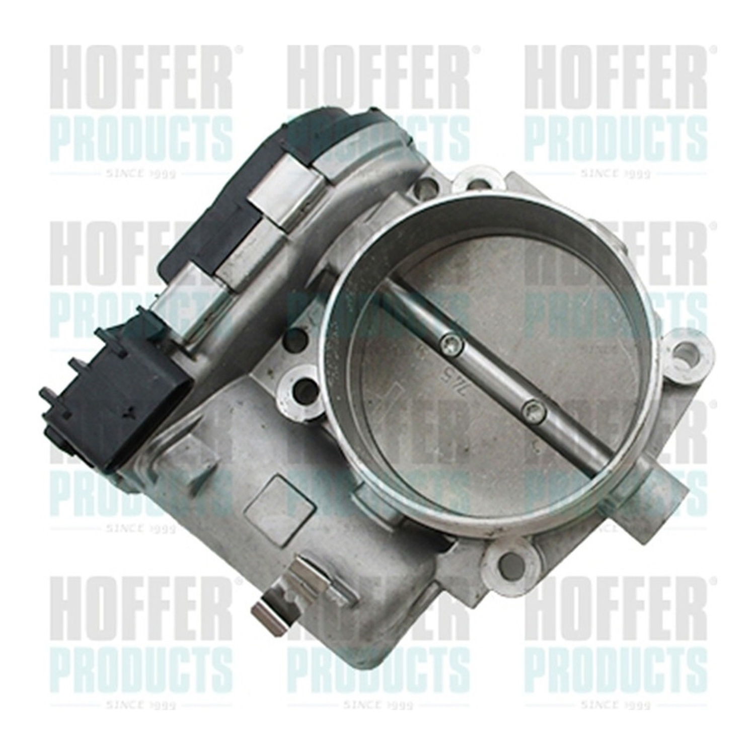 HOFFER 스로틀바디