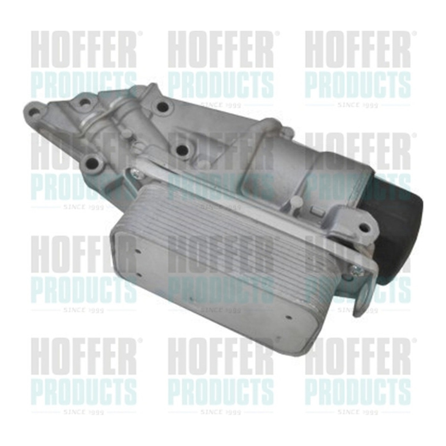 HOFFER 오일 필터 모듈