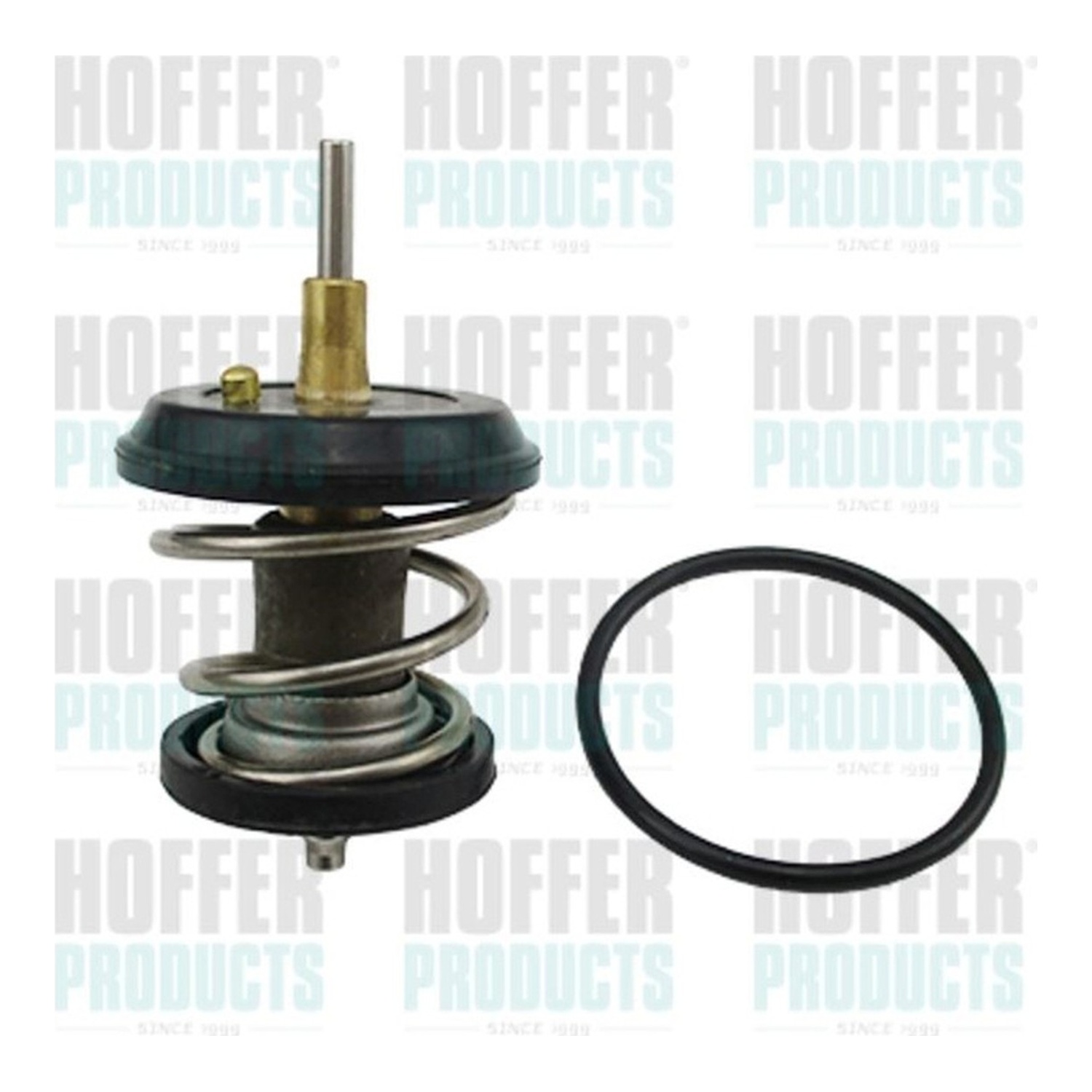 HOFFER 써모스탯