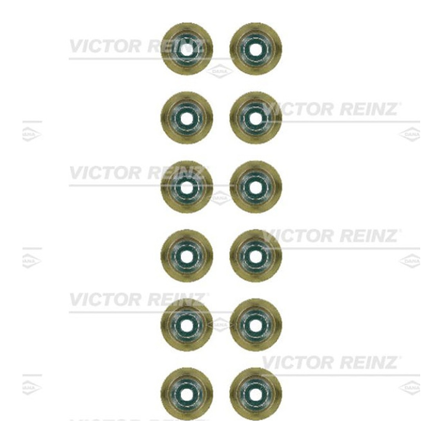 REINZ 12ea 밸브스템씰