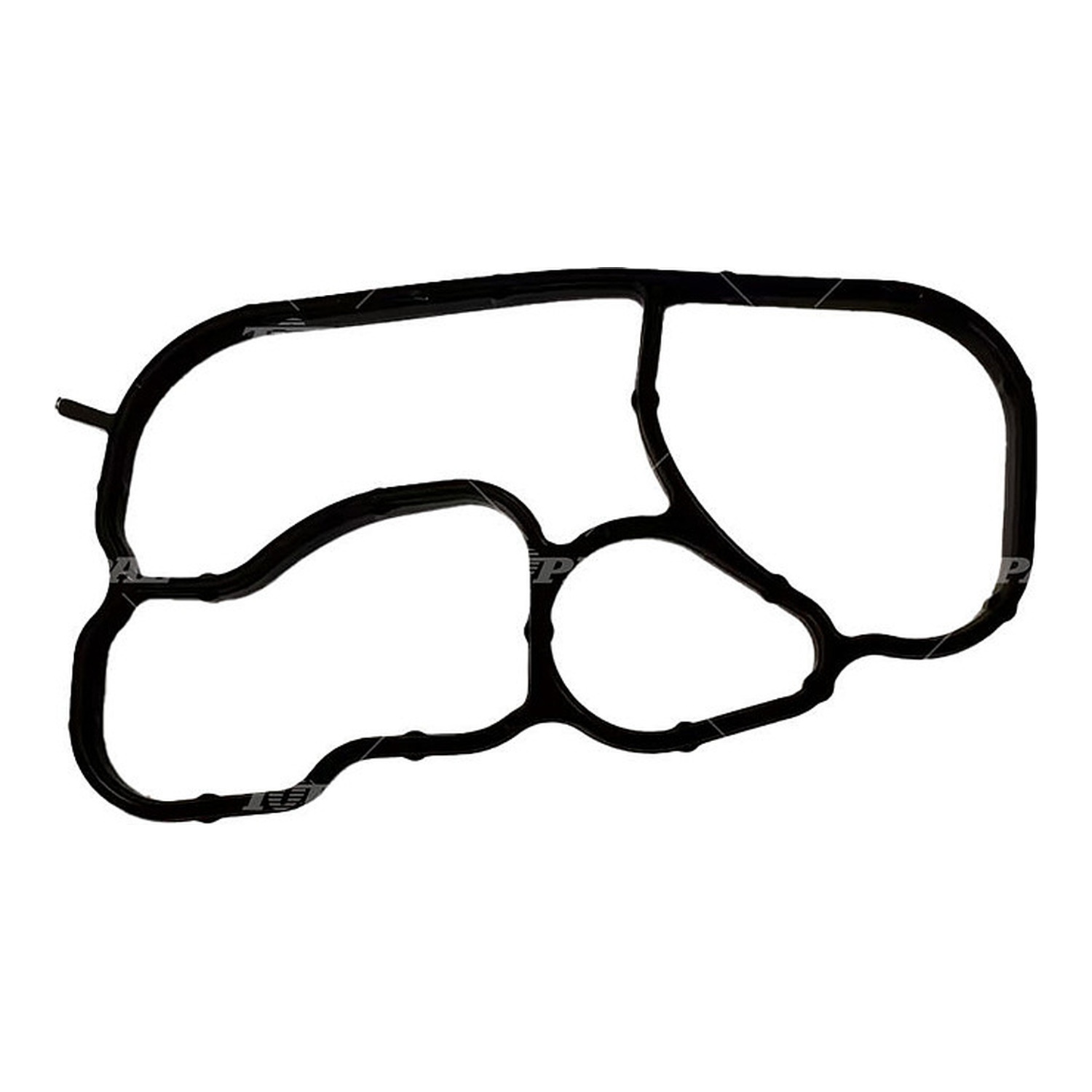5Z9RY_1.jpg?v=1780576309