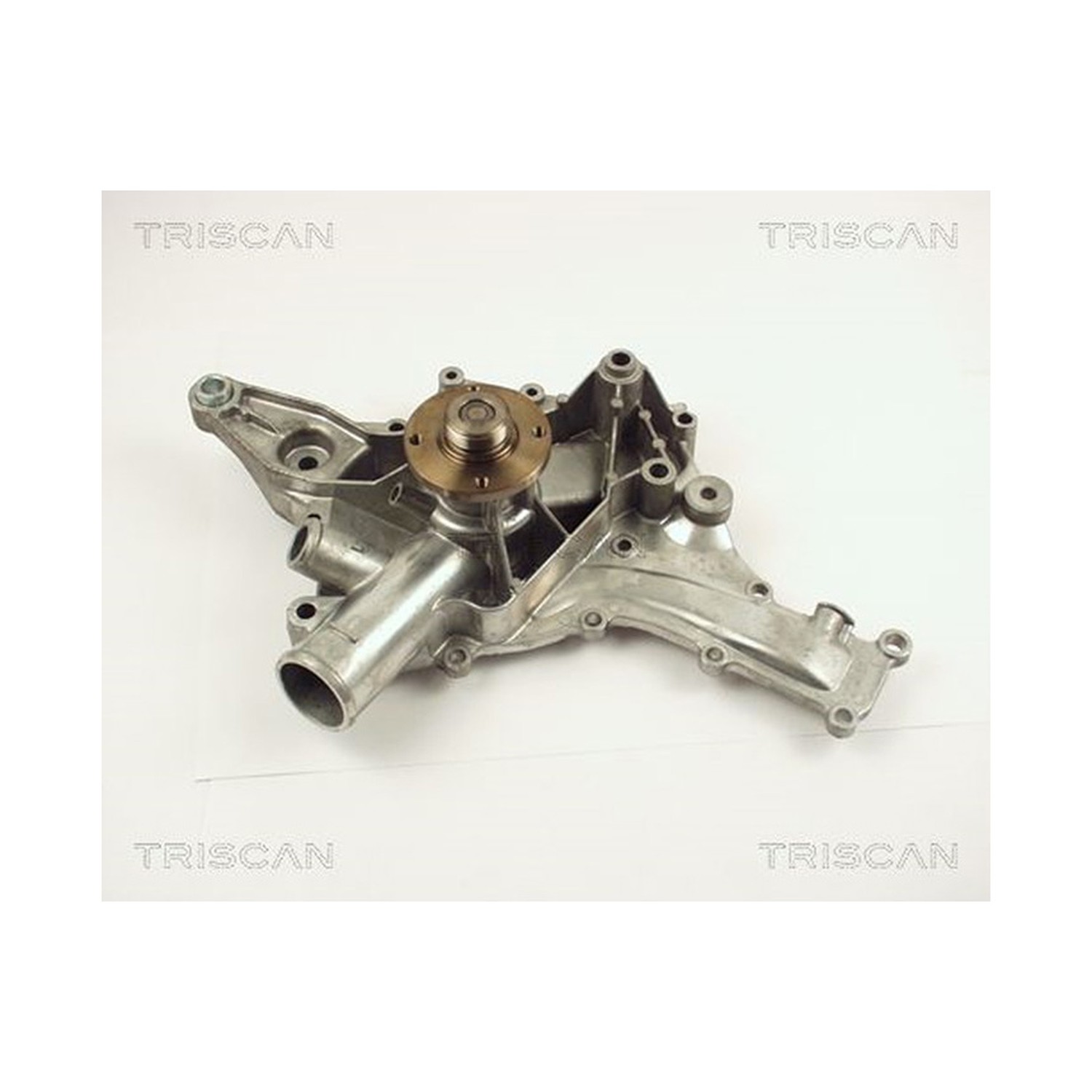 TRISCAN 워터펌프