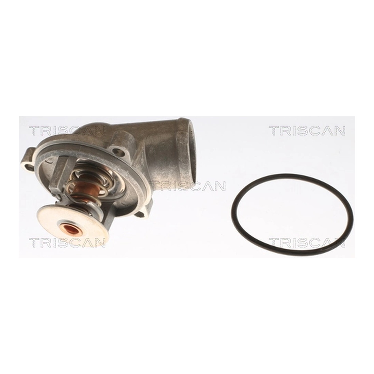 TRISCAN 써모스탯